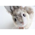 画像5: Vintage Steiff rabbit