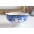 画像3: Blue swan bowl