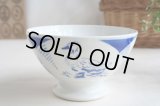 Blue duck bowl