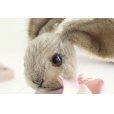 画像2: Vintage Steiff rabbit (2)