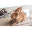 画像1: German toy rabbit (1)