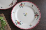 Red didier plate