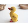 画像2: German toy duck (2)