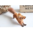 画像2: German toy fox (2)