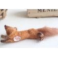 画像7: German toy fox