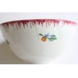 画像8: Red didier bowl