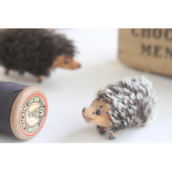 画像1: German toy hedgehog mini