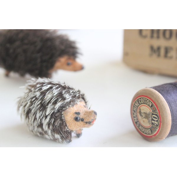 画像2: German toy hedgehog mini