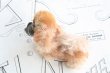 画像8: Steiff pekingese dog (8)