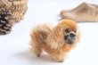 画像1: Steiff pekingese dog (1)