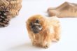 画像2: Steiff pekingese dog (2)