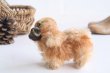 画像3: Steiff pekingese dog (3)