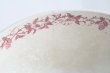 画像9: Red swan bowl  (9)