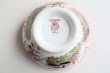 画像6: Duck & paysage bowl (6)