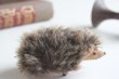 画像4: German toy hedgehog (4)
