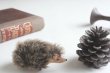 画像5: German toy hedgehog (5)