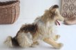 画像5: Steiff collie dog (5)