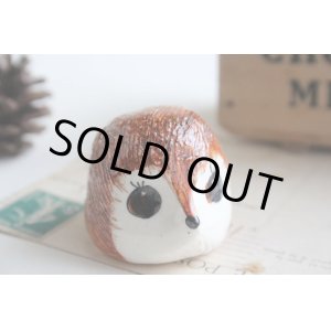 画像: Torquay hedgehog figurine