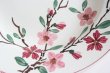 画像3: Cherry blossom dish (3)