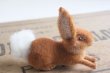 画像4: German toy rabbit (4)