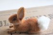 画像3: German toy rabbit (3)