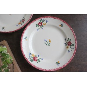 画像: Red didier plate