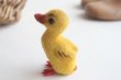 画像2: German toy duck (2)