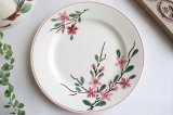 画像: Cherry blossom plate