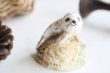 画像1: Torquay seal figurine (1)