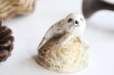 画像: Torquay seal figurine