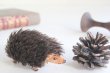 画像5: German toy hedgehog (5)