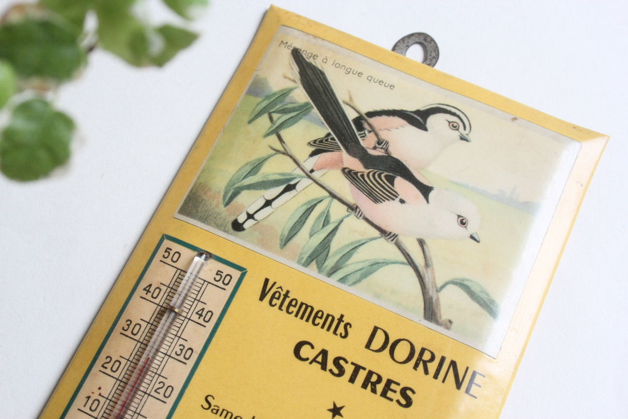 画像1: French bird thermometer (1)